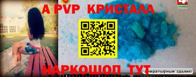 apvp Можга