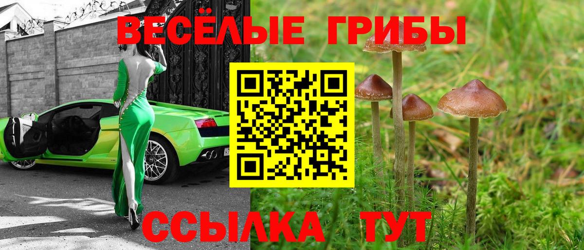 Псилоцибиновые грибы прущие грибы Чебоксары